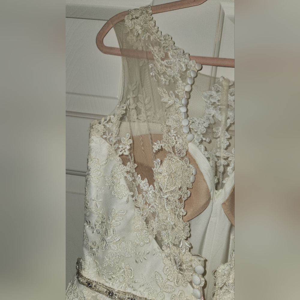 NWT! REBECCA INGRAM WEDDING DRESS ! (ONE PEARL IS MISSING ON THE SWAROVSKI BELT) - Picture 16 of 16